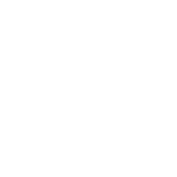 カメラアイコン